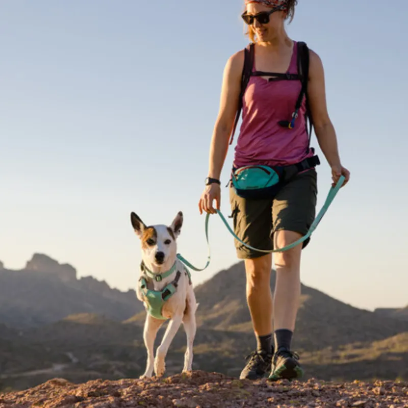 Ruffwear Hi and Light Harness - Sage Green-4